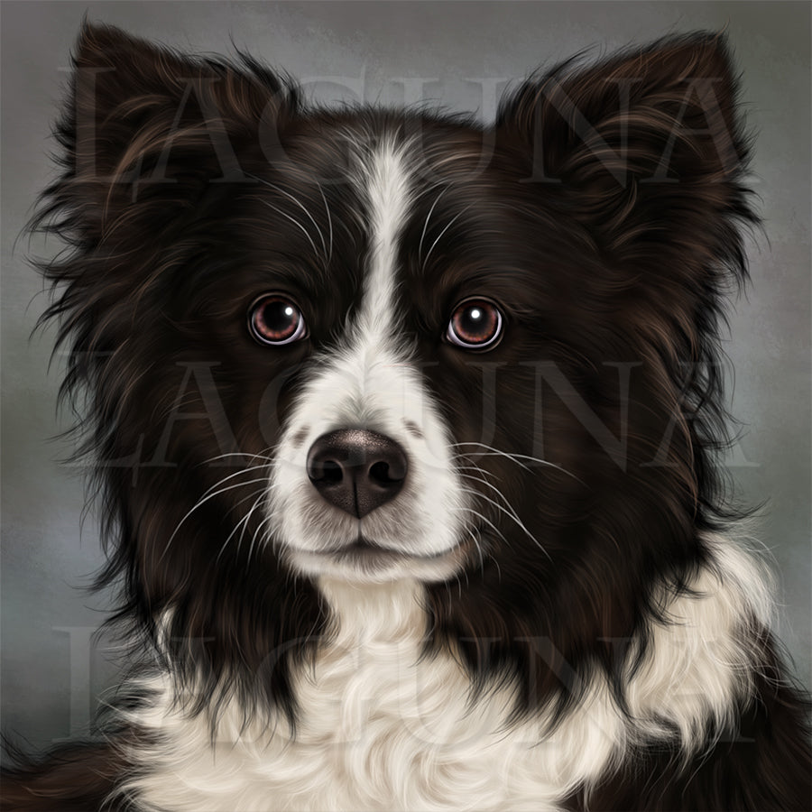 Girl with Border Collie