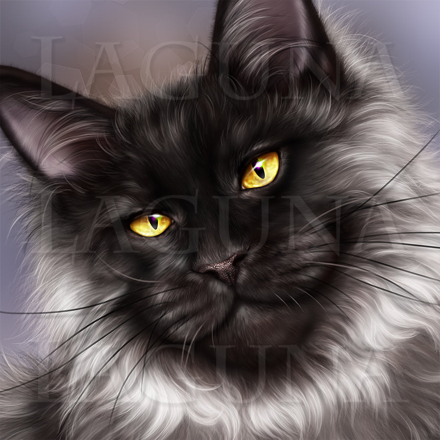 Girl with Maine Coon Kitty