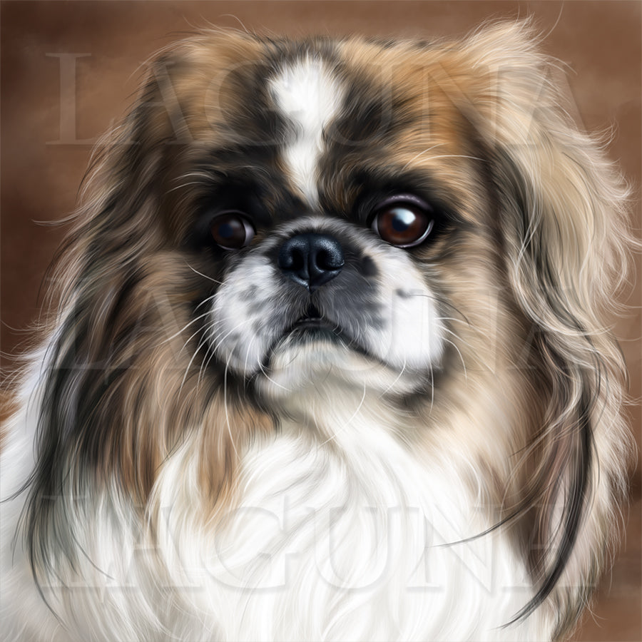 Girl with Pekingese