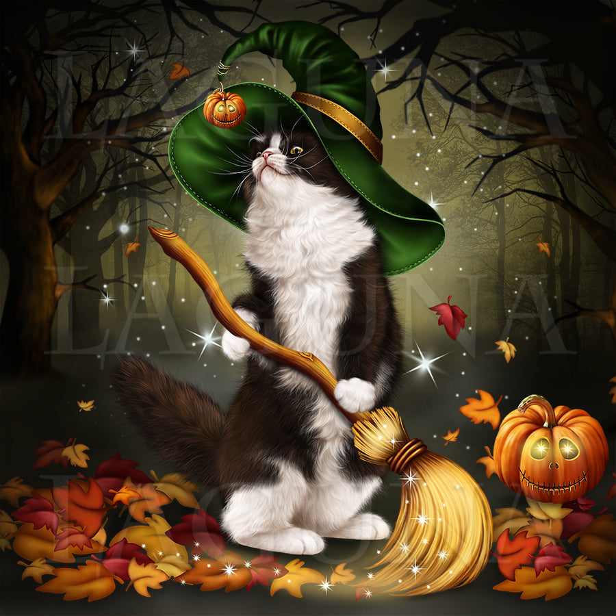 Halloween Kitty with a Broomstick
