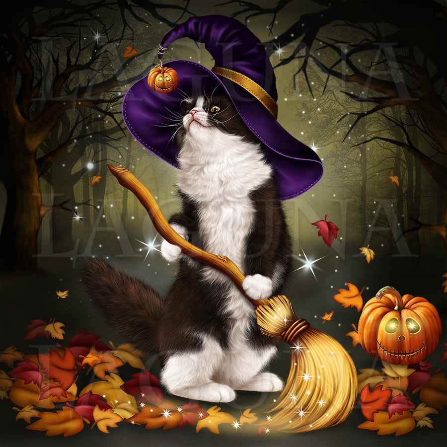 Halloween Kitty with a Broomstick