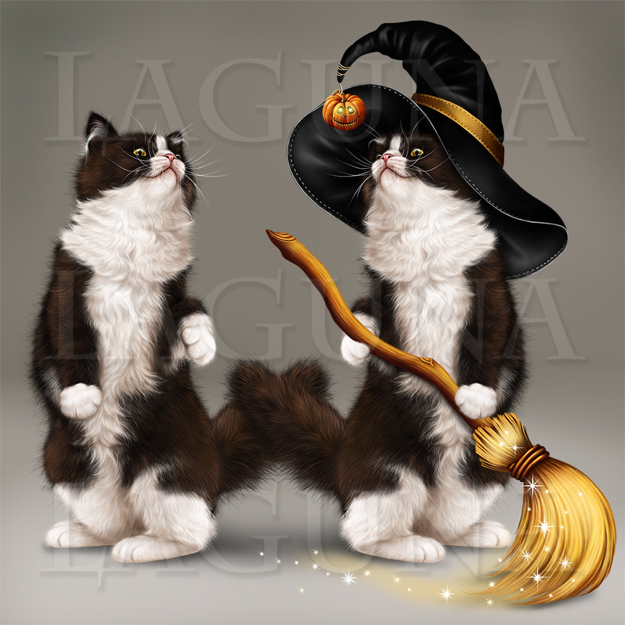 Halloween Kitty with a Broomstick