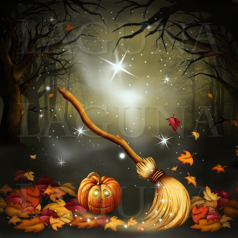 Halloween Kitty with a Broomstick