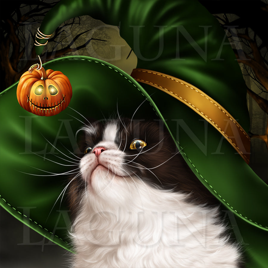 Halloween Kitty with a Broomstick