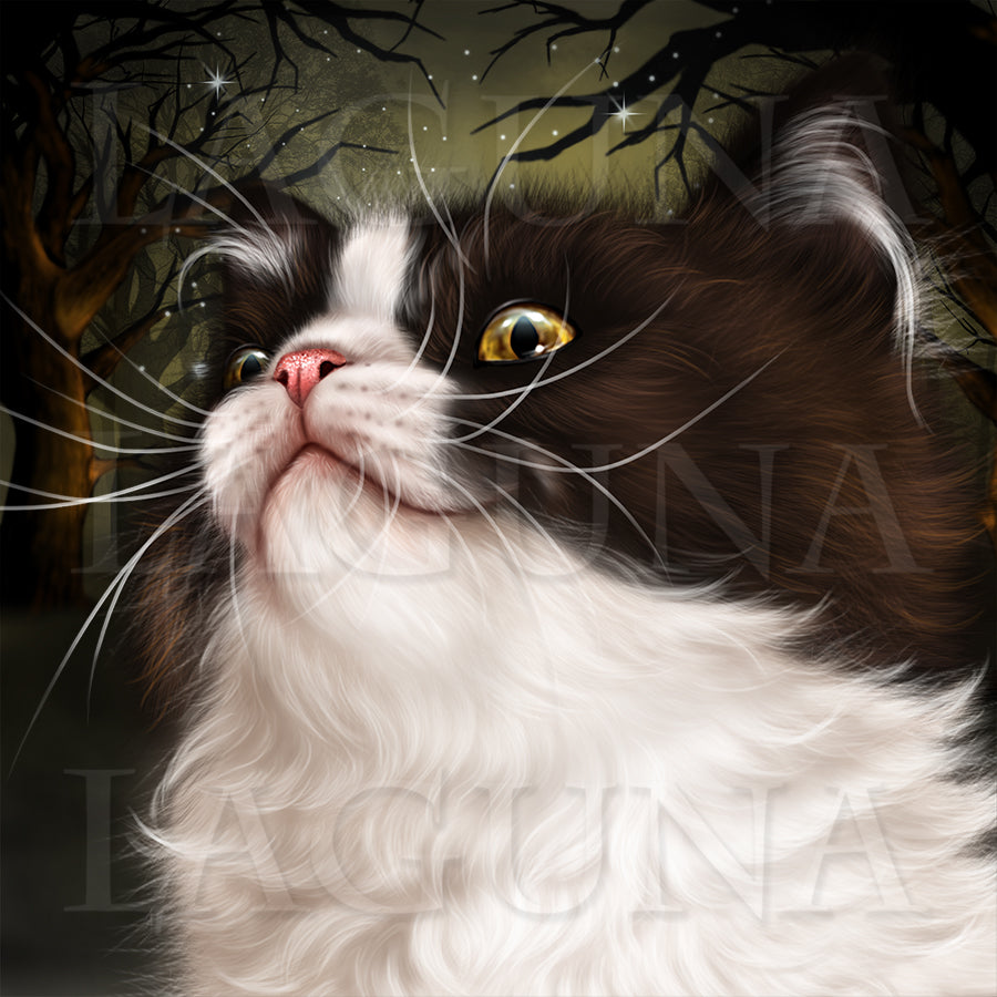 Halloween Kitty with a Broomstick