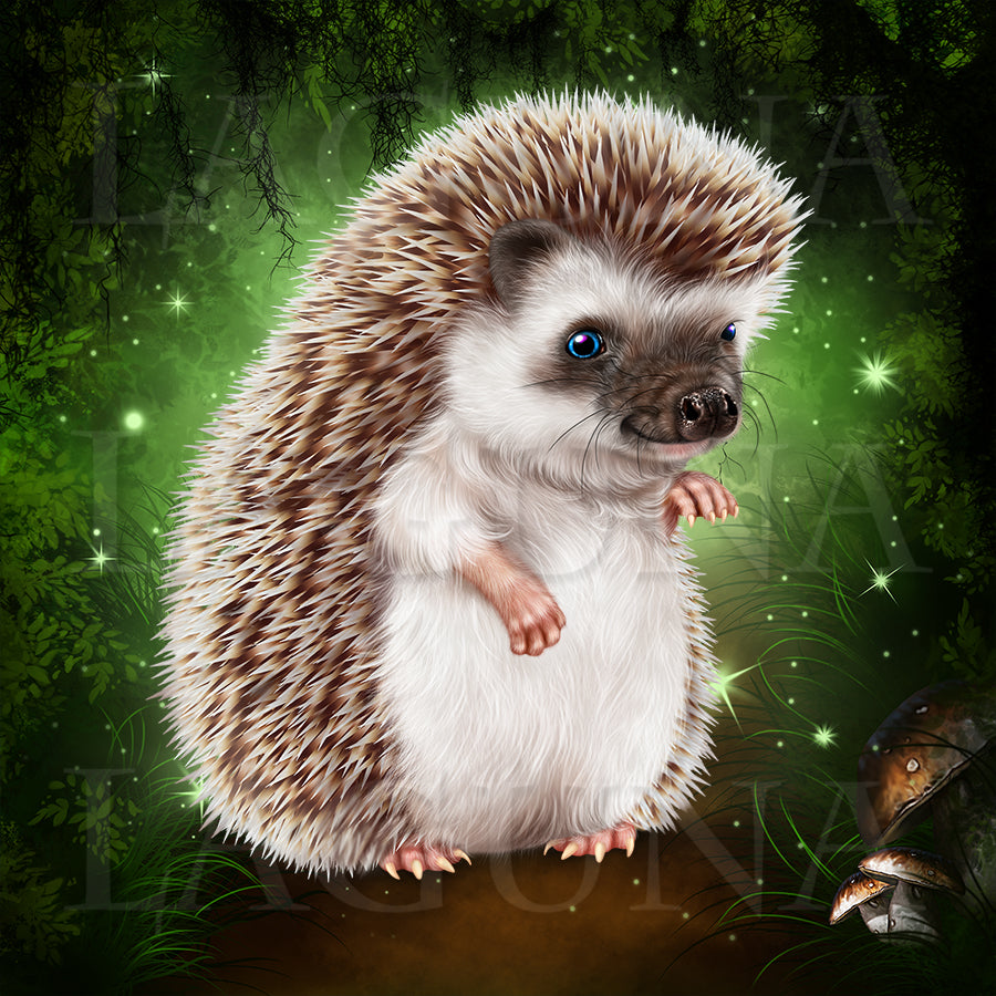 Hedgie