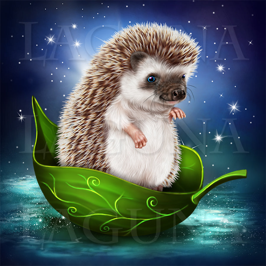 Hedgie