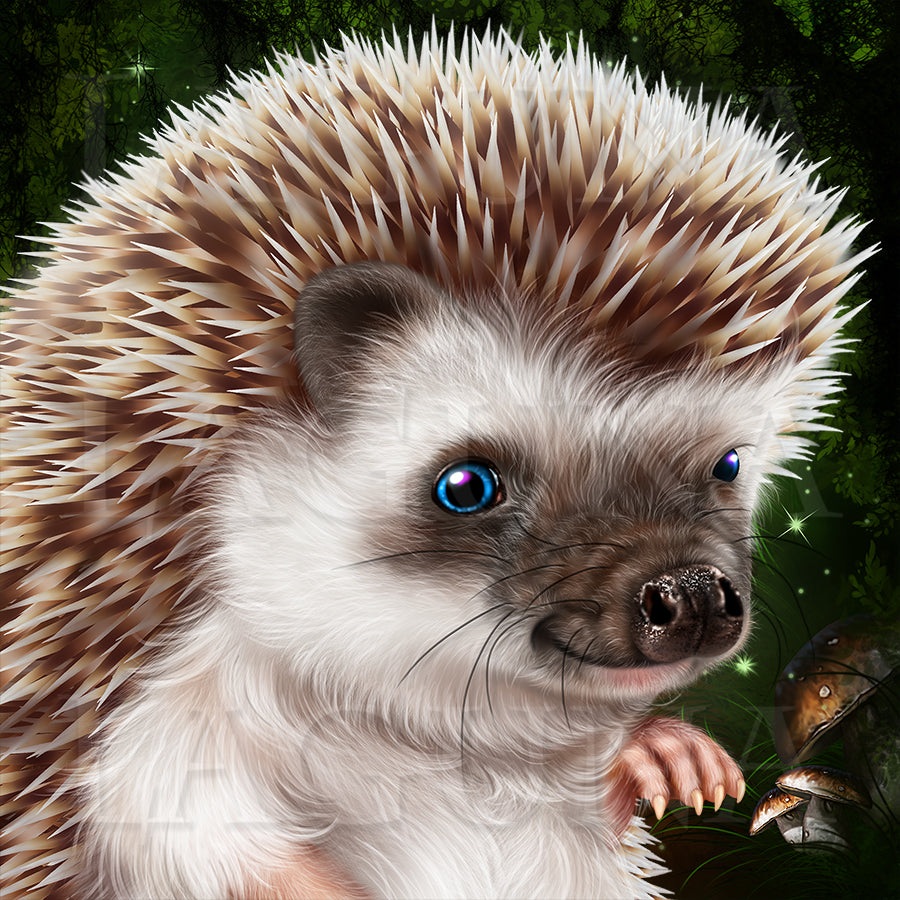 Hedgie