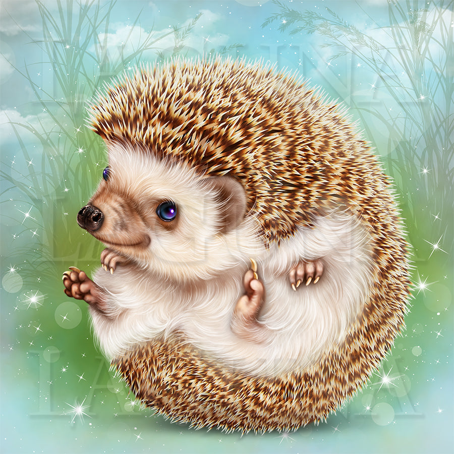 Hedgies in Love