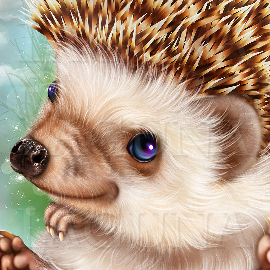 Hedgies in Love