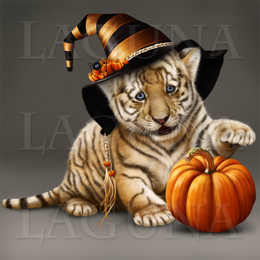 Itsy-Bitsy Tiger