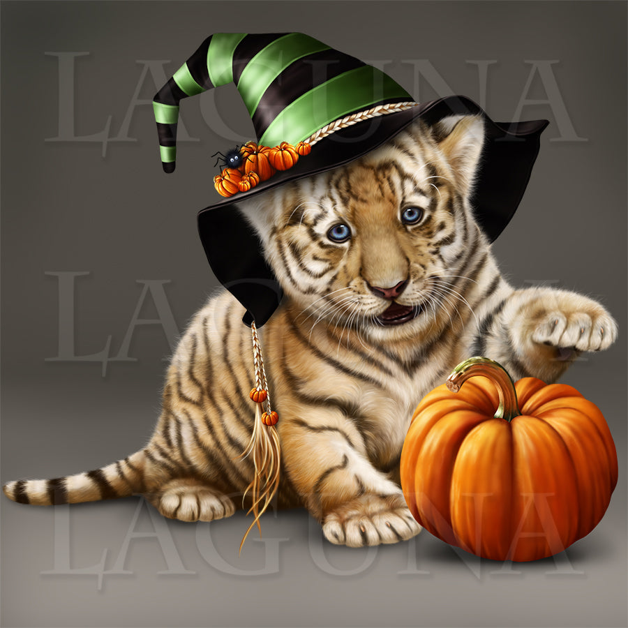 Itsy-Bitsy Tiger
