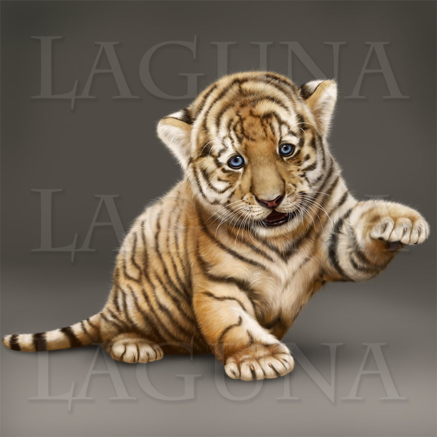 Itsy-Bitsy Tiger