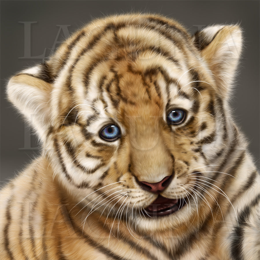 Itsy-Bitsy Tiger