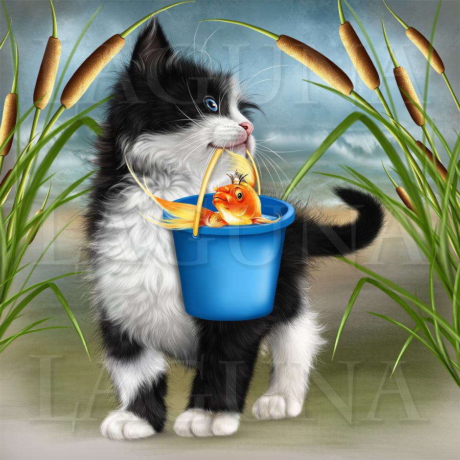 Kitten and Goldfish