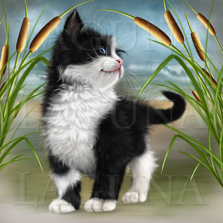 Kitten and Goldfish