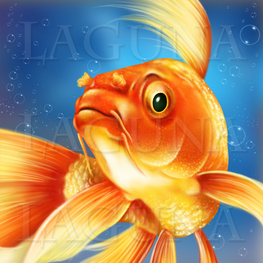 Kitten and Goldfish