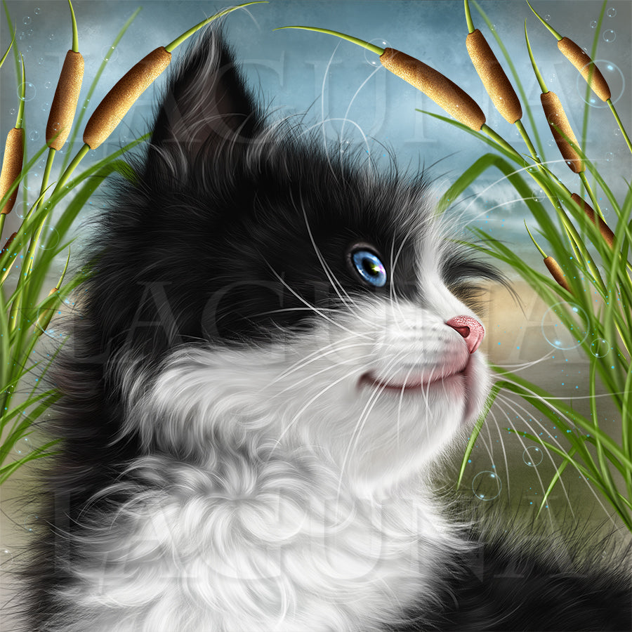 Kitten and Goldfish