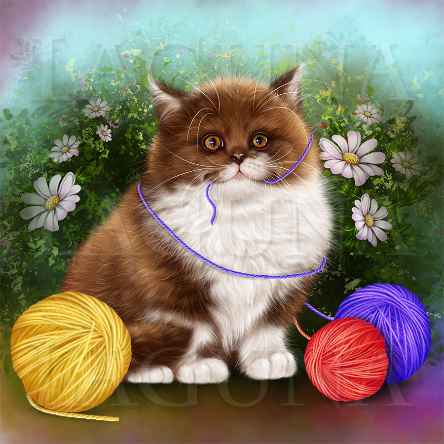 Kitty and Balls of Wool