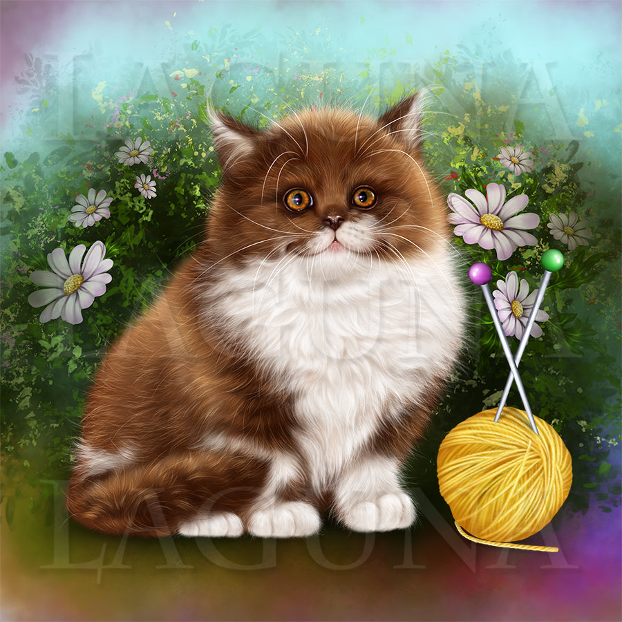 Kitty and Balls of Wool