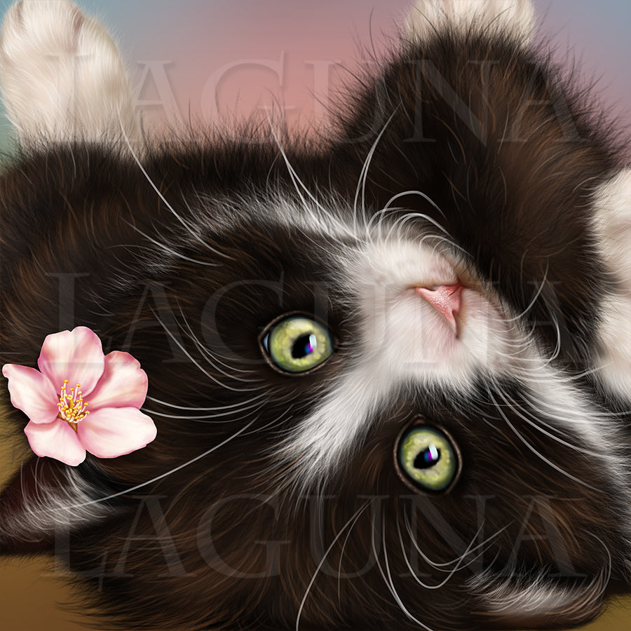 Kitty in Blossom