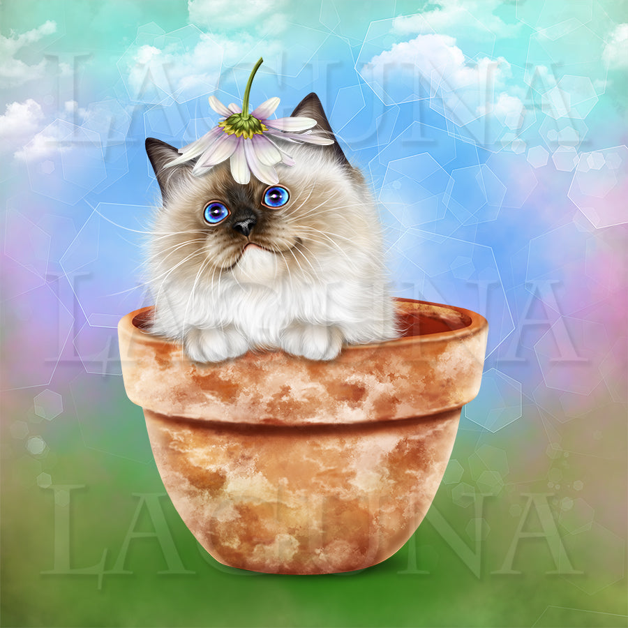 Kitty in Pot