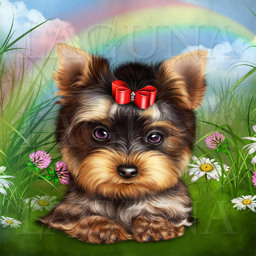 Leprechaun Yorkie