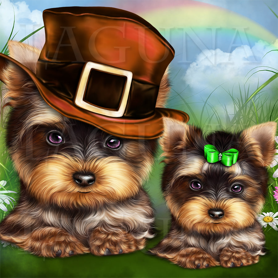 Leprechaun Yorkie