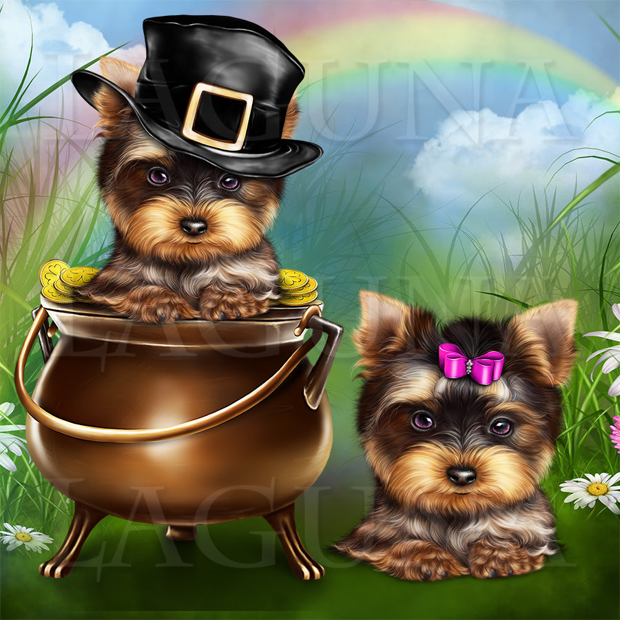 Leprechaun Yorkie