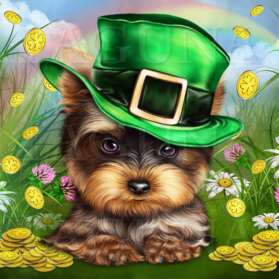Leprechaun Yorkie