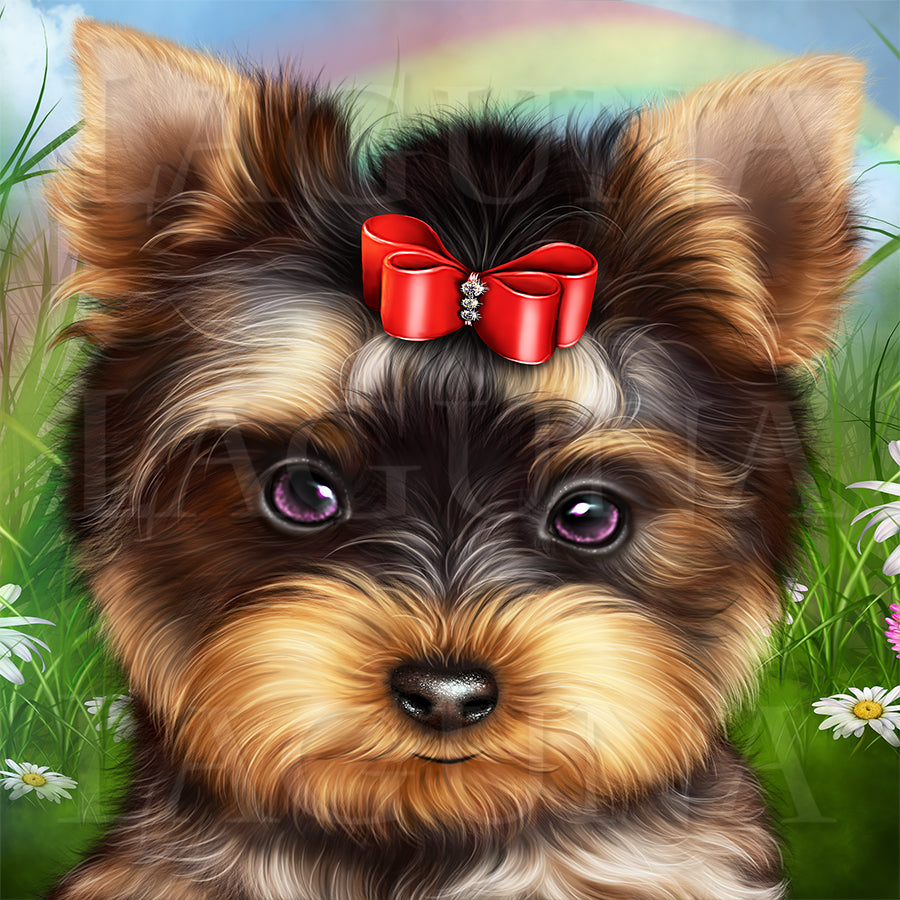 Leprechaun Yorkie