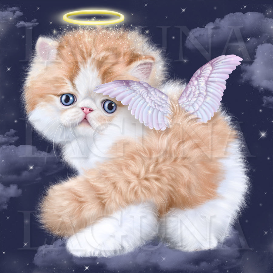Little Angel