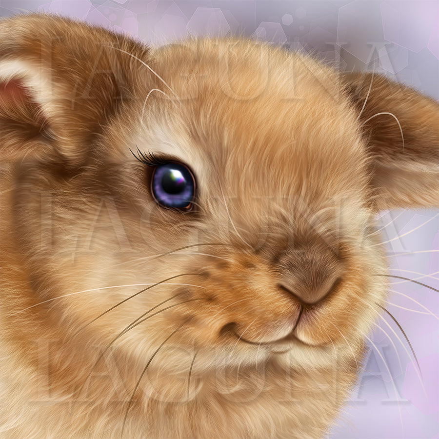 Little Fairy with a Bunny