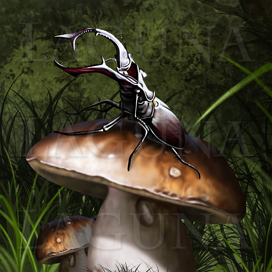 Little Imp and a Beetle