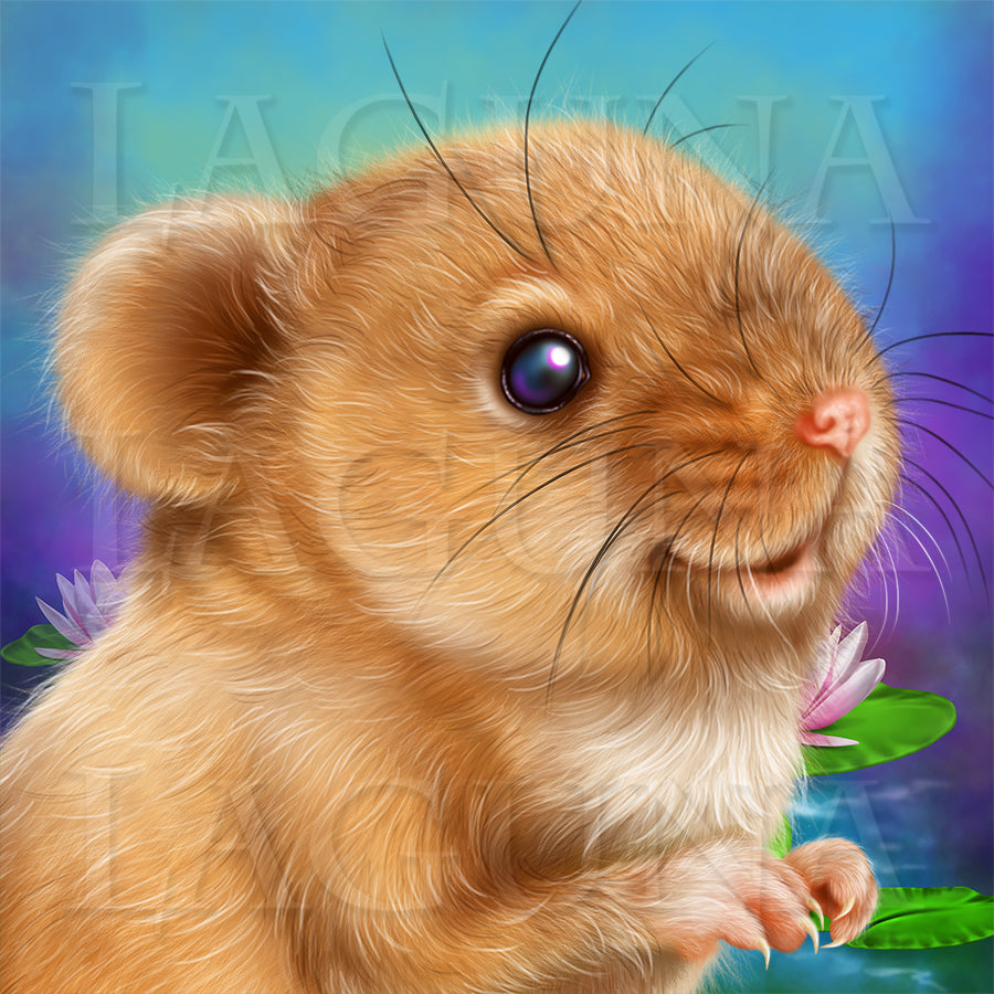 Little Mouse and Dragonfly