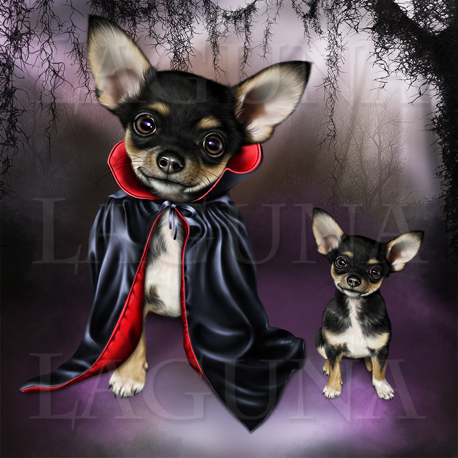 Little Witch with Chihuahua