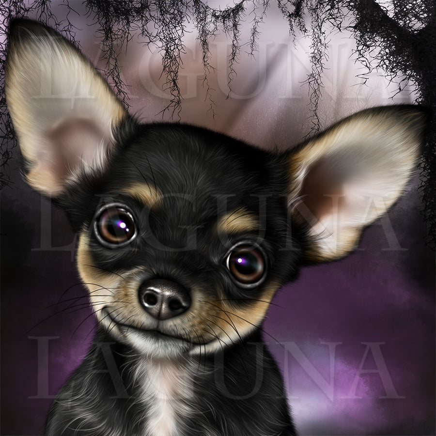 Little Witch with Chihuahua