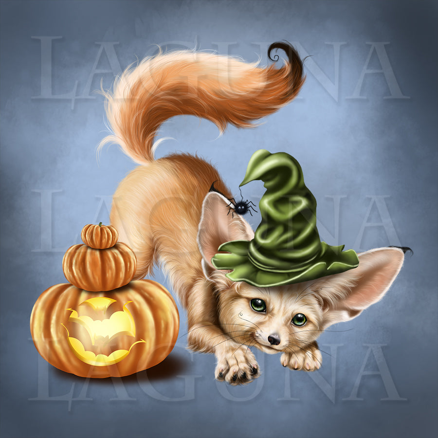 Mr. Fennec