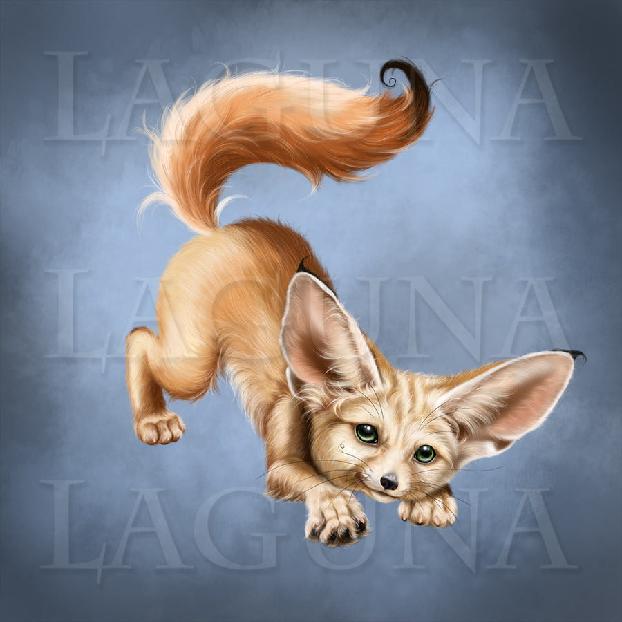 Mr. Fennec