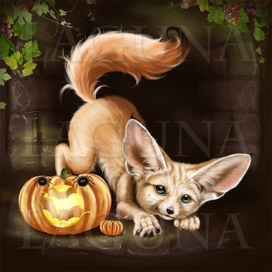 Mr. Fennec