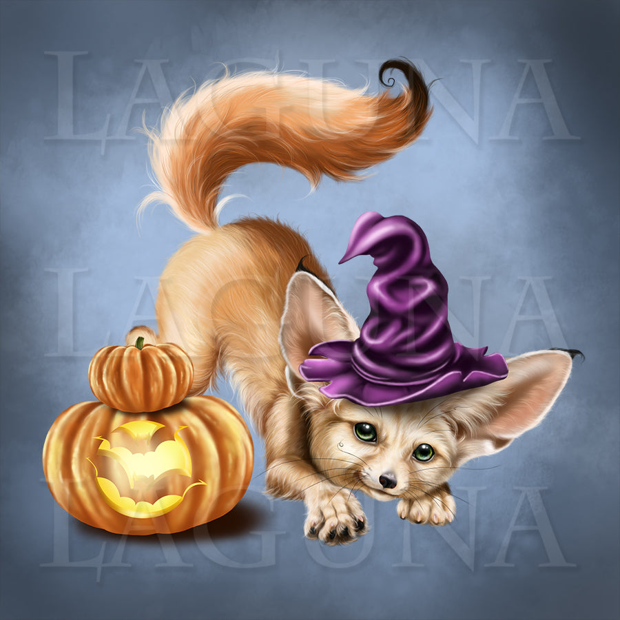 Mr. Fennec