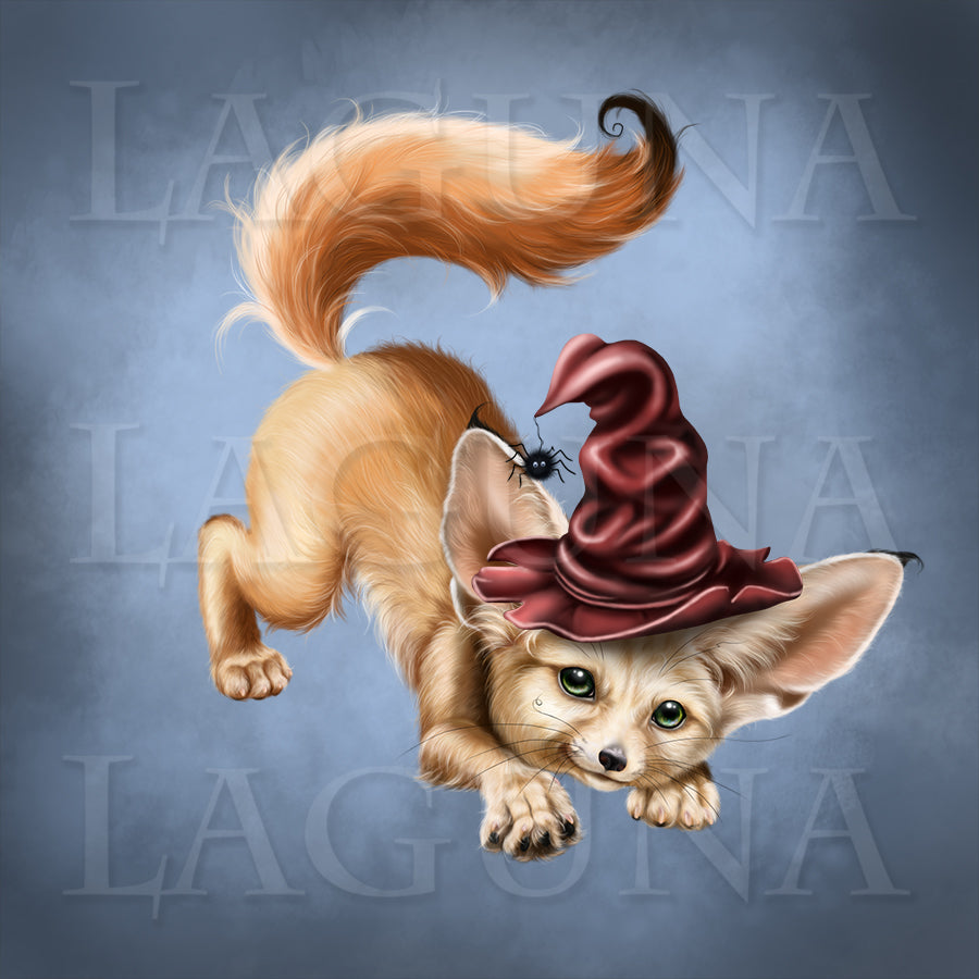 Mr. Fennec