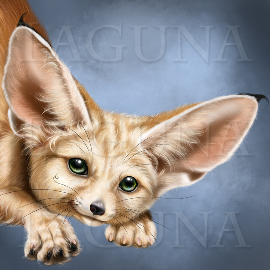 Mr. Fennec