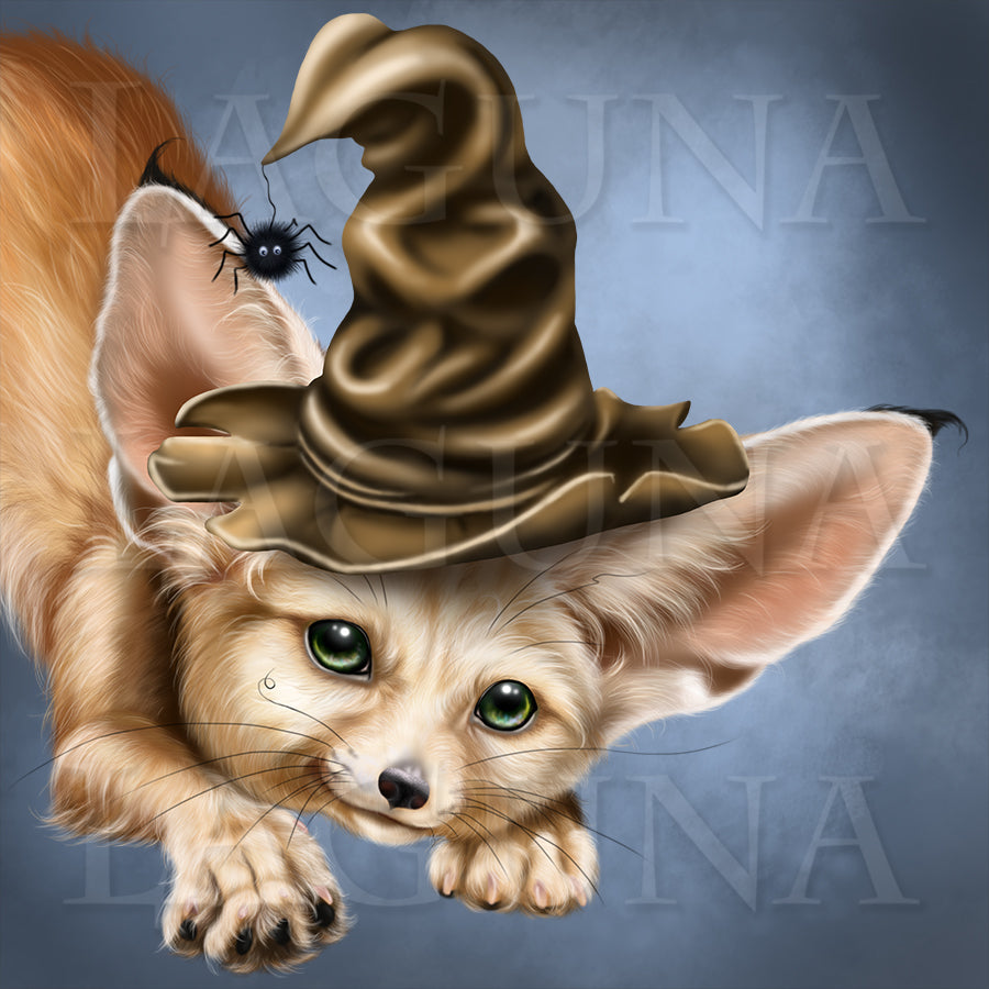 Mr. Fennec