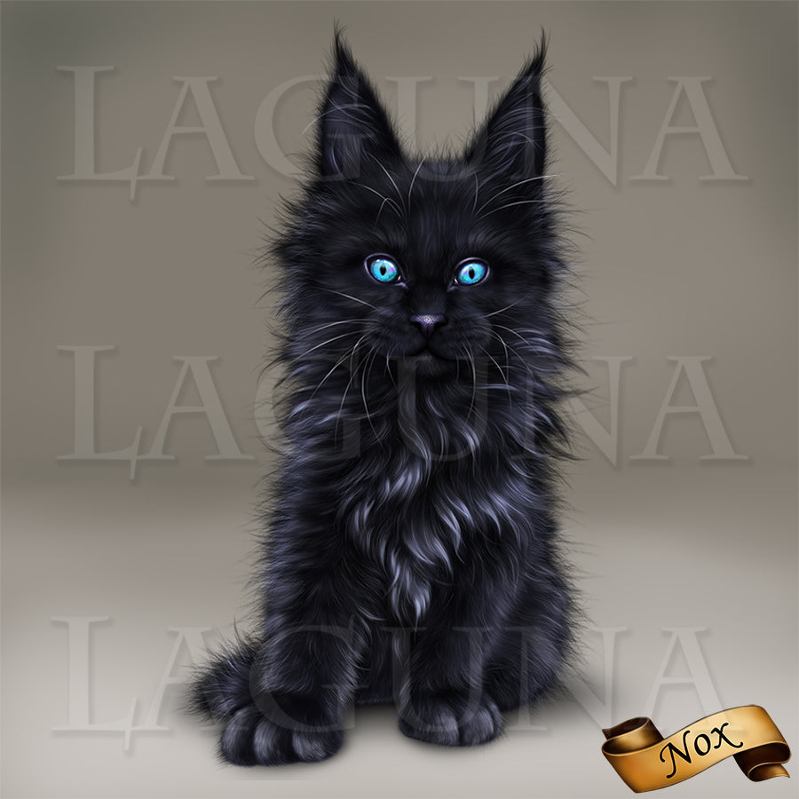 Nox