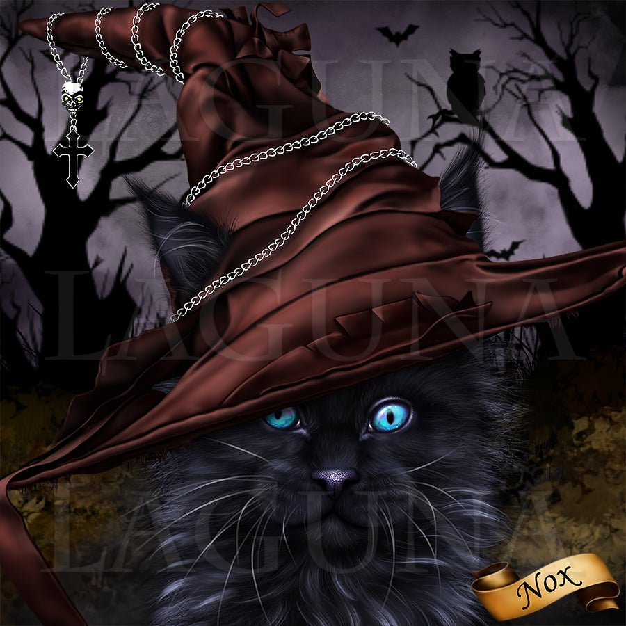 Nox