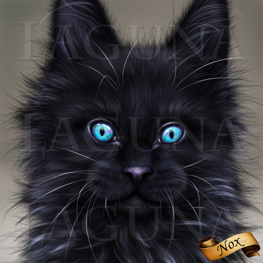 Nox