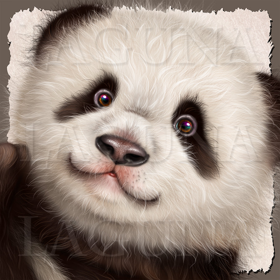 Peaceful Panda