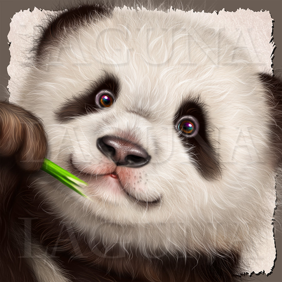 Peaceful Panda