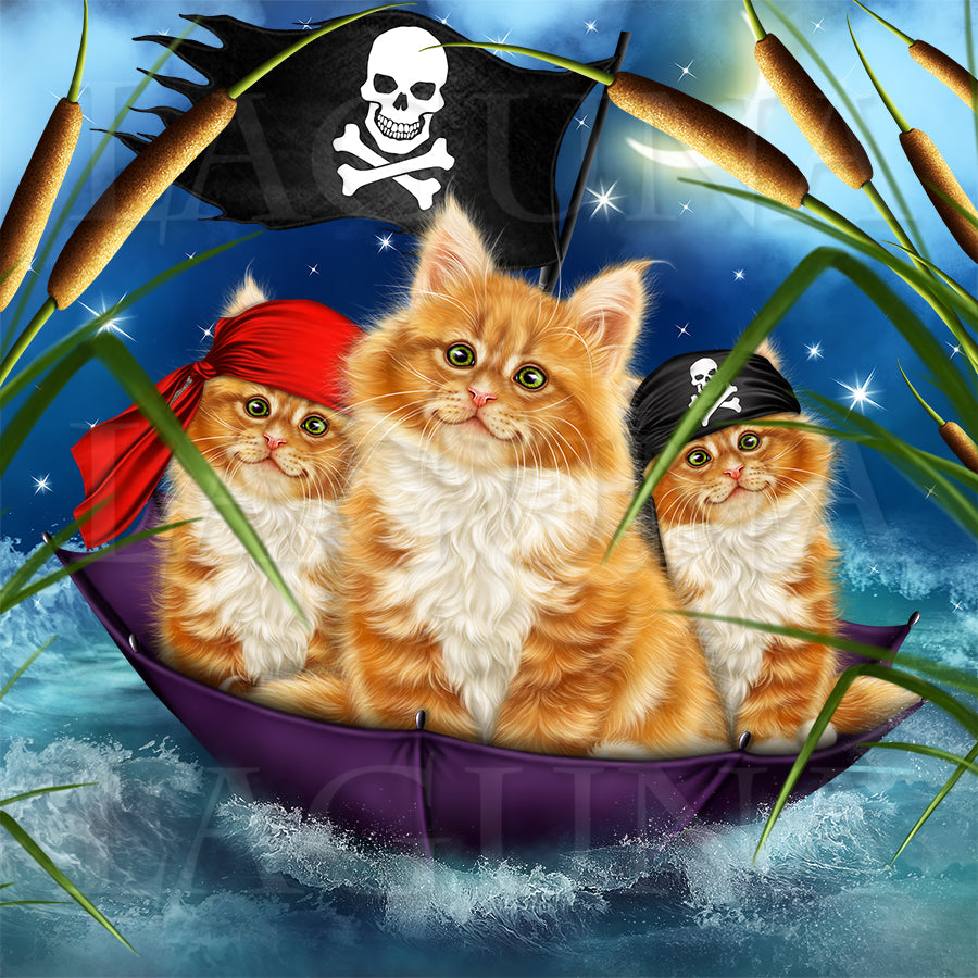 Pirate Kitty